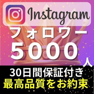 【安心安全★高品質★低価格★【Instagramフォロワー5000人】♪おまけ♪便利なSNS増加ツール！ SNS YouTube TikTok 他