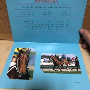 テレホンカード★競馬★アグネスタキオン★50度数2枚1000円分★台紙つきの画像2