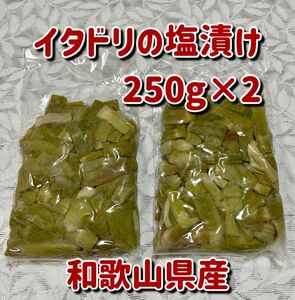 イタドリの塩漬け 250g×2