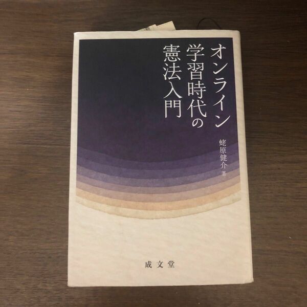 オンライン学習時代の憲法入門 蛯原健介／著