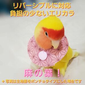 インコ エリザベスカラー(麻の葉)1枚・3サイズ・4g・追跡番号付き