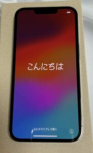 【超美品】Apple iPhone 13pro 256GB SIMロック解除　SIMフリー　シエラブルー