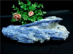 AAA級天然藍晶石（カイヤナイト）鉱標178U3-116U153b