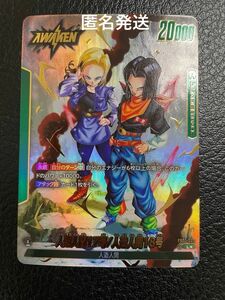 ドラゴンボール　覚醒の鼓動　人造人間17号18号　リーダーパラレル　美品 