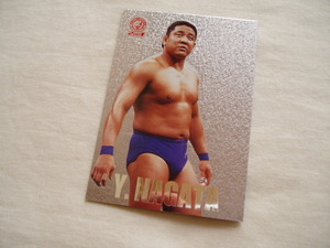 キラインサートカード 永田裕志◆バンダイ2001 新日本プロレス RE