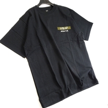 AVIREX アヴィレックス 新品 USAF サンダーバーズ シーチィング パッチド ミリタリー 綿100％ Tシャツ 3134045 010 L ▲012▼kkf270us_画像2