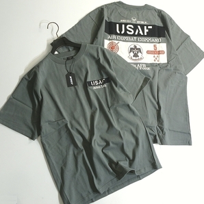 AVIREX アヴィレックス 新品 USAF サンダーバーズ シーチィング パッチド ミリタリー 綿100％ Tシャツ 3134045 401 M ▲012▼kkf266usの画像1