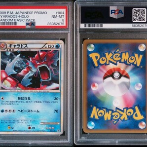 PSA8 ポケモンカード ギャラドス 色違い プロモ レジェンド Pokemon Japanese Gyarados Holo Random Basic Packの画像3