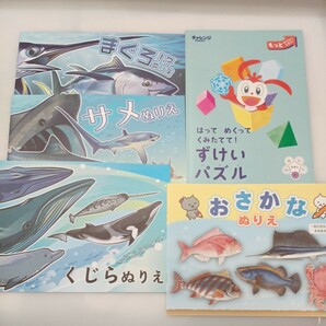 zaa-571♪ぬりえまぐろ/サメ/くじら/おさかな(魚食普及センター)４冊+はってめくってずけいパズル(チャレンジ1年生付録)　計5冊セット　