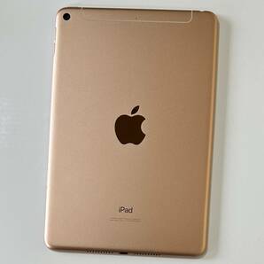 Apple SIMフリー iPad mini (第5世代) ローズゴールド 64GB MUX72J/A Wi-Fi+Cellular アクティベーションロック解除済の画像10