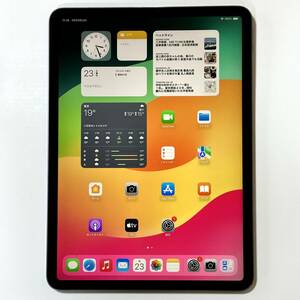 Apple iPad Pro (11 дюймовый ) ( no. 2 поколение ) Space серый 256GB MXDC2J/A Wi-Fi модель iOS17.4.1 Acty беж .n разблокирован 