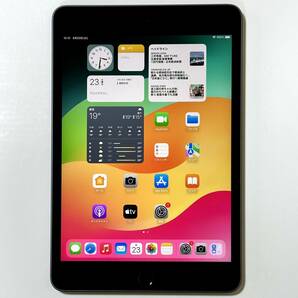 Apple iPad mini (第5世代) スペースグレイ 64GB MUQW2J/A Wi-Fiモデル iOS15.4.1 アクティベーションロック解除済の画像1