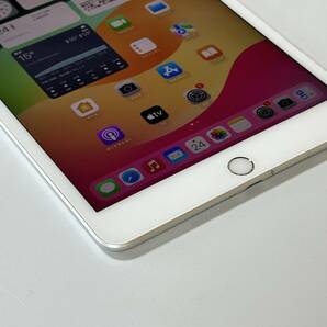 Apple SIMフリー iPad mini (第5世代) シルバー 256GB MUKD2J/A Wi-Fi+Cellular アクティベーションロック解除済の画像5