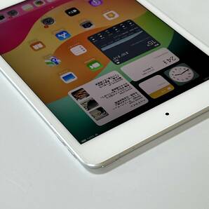 Apple SIMフリー iPad mini (第5世代) シルバー 256GB MUKD2J/A Wi-Fi+Cellular アクティベーションロック解除済の画像7