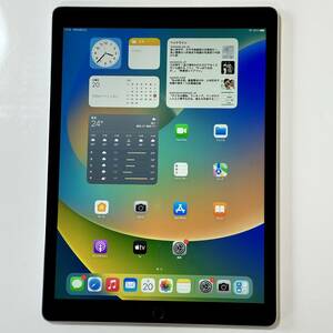 Apple iPad Pro (12.9 дюймовый ) Space серый 256GB ML0T2J/A Wi-Fi модель iOS16.7.7 Acty беж .n разблокирован 