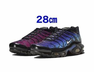 28㎝ US10 Nike Air Max Plus 25th Anniversary 国内正規品 ナイキ エアマックスプラス