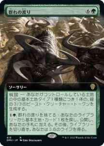 MTG　【Foil】 群れの渡り　拡張アート　在庫日1枚まで　ホイル　団結のドミナリア　DMU　★他多数出品中