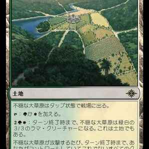 MTG 不穏な大草原 在庫日1枚まで イクサラン：失われし洞窟 LCI ★他多数出品中の画像1