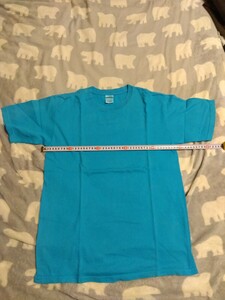 【中古品】anvil製　Tシャツ　Sサイズ　青色