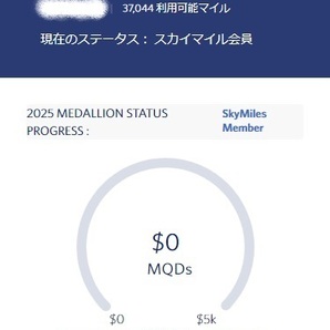 デルタ航空 スカイマイル 口座譲渡 37,044マイルの画像1