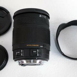 【美品】シグマ SIGMA 18-250mm F3.5-6.3 DC OS HSM キヤノン用の画像5