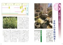 書籍 盆栽 五葉松の育て方 本 ブック　近代出版 盆栽 ミニ盆栽 盆栽道具_画像2