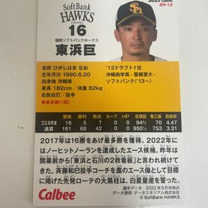 ホークスチップス 東浜巨 田浦文丸 大津亮介