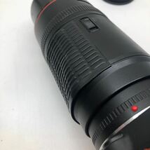 Canon EF 100-300mm F5.6L AFズームレンズ キヤノン_画像10