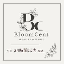 BloomCent ローズスフィア アロマネックレス シルバー 香水 エッセンシャルオイル 精油 虫よけ_画像8