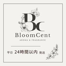 BloomCent ダイヤモンド スフィア アロマネックレス シルバー 香水 ディフューザー アウトドア 虫よけ レディース _画像8