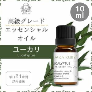 BloomCent height grade essential oil eucalyptus . oil aroma 