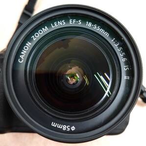 ◇ 美品 キヤノン Canon EOS Kiss X5 デジタル一眼レフカメラ EF-S 18-55mm 1:3.5-5.6 IS II 充電器 取説書 収納バッグ付き ◇の画像8