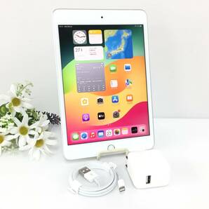 〇【美品】au iPad mini 第5世代 Wi-Fi+Cellularモデル 256GB A2124(MUXD2J/A) シルバー 〇判定 動作品の画像1