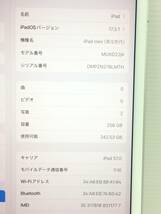 〇【良品】au iPad mini 第5世代 Wi-Fi+Cellularモデル 256GB A2124(MUXD2J/A) シルバー 〇判定 動作品_画像10