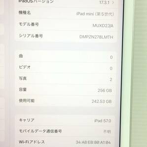 〇【良品】au iPad mini 第5世代 Wi-Fi+Cellularモデル 256GB A2124(MUXD2J/A) シルバー 〇判定 動作品の画像10