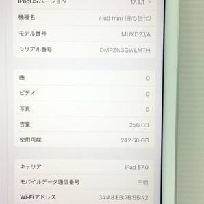 〇【良品】au iPad mini 第5世代 Wi-Fi+Cellularモデル 256GB A2124(MUXD2J/A) シルバー 〇判定 動作品の画像10