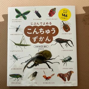 じぶんでよめるこんちゅうずかん　対象年齢３～６歳　むしのなかま１４６しゅるい！ 成美堂出版編集部／編著