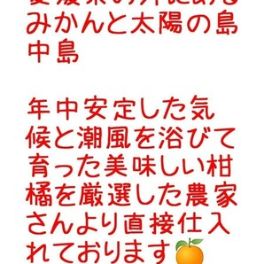 送料込！！超特価！！愛媛県中島産カラマンダリンおつとめ品箱込10㎏(賞味9㌔+保証量0.5㌔)産地直送②の画像3