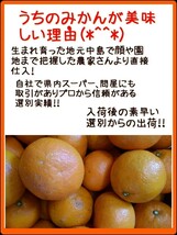 送料込！！超特価！！愛媛県中島産カラマンダリンおつとめ品箱込10㎏(賞味9㌔+保証量0.5㌔)産地直送③_画像4