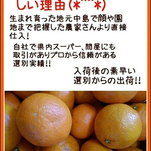 fm現地中島郵便局より発送！！超特価！！愛媛県中島産カラマンダリンおつとめ品箱込15㎏(賞味13㌔+保証量1㌔+箱1㌔)産地直送④の画像4