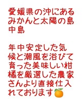 送料込！！超特価！！愛媛県中島産カラマンダリンおつとめ品箱込15㎏(賞味13㌔+保証量1㌔+箱㌔)産地直送①_画像3