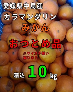 os現地中島郵便局より発送！！超特価！！愛媛県中島産カラマンダリンおつとめ品箱込10㎏(賞味9㌔+保証量0.5㌔)産地直送⑥