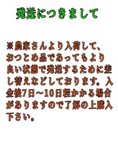 fm現地中島郵便局より発送！！超特価！！愛媛県中島産カラマンダリンおつとめ品箱込10㎏(賞味9㌔+保証量0.5㌔)産地直送③_画像8