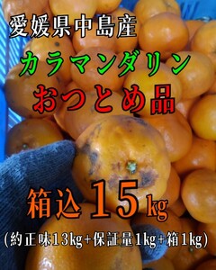 os現地中島郵便局より発送！！超特価！！愛媛県中島産カラマンダリンおつとめ品箱込15㎏(賞味13㌔+保証量1㌔+箱1㌔)産地直送⑤