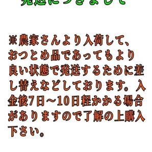 os現地中島郵便局より発送！！超特価！！愛媛県中島産カラマンダリンおつとめ品箱込15㎏(賞味13㌔+保証量1㌔+箱1㌔)産地直送②の画像8