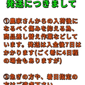 送料込！！愛媛県産河内晩柑箱込10㎏(賞味9.5㌔)家庭用サイズ不揃い・産地直送 ③の画像5