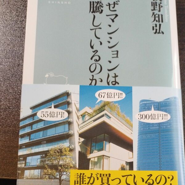 なぜマンションは高騰しているのか （祥伝社新書　６９５） 牧野知弘／〔著〕