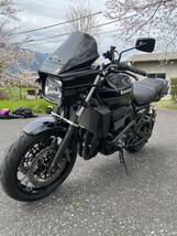 カワサキ ZRX1200DAEG ブラックリミテッド　2014年_画像5