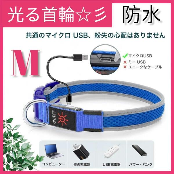 新品 犬用光る首輪 充電式LED犬用首輪 USB充電 調節可能な反射犬用首輪