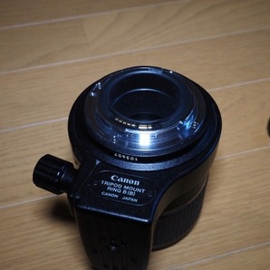 Canon MP-E65mm F2.8 1-5X マニュアルフォーカス EOSマウント用の画像6